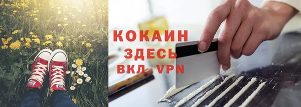 СК Алексин