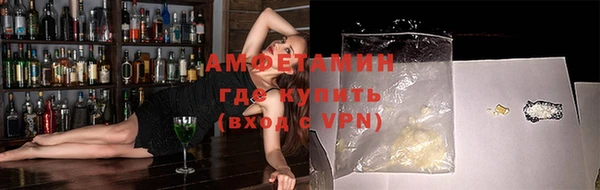 СК Алексин