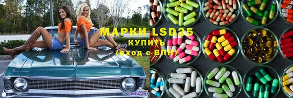 прущий лед Алзамай