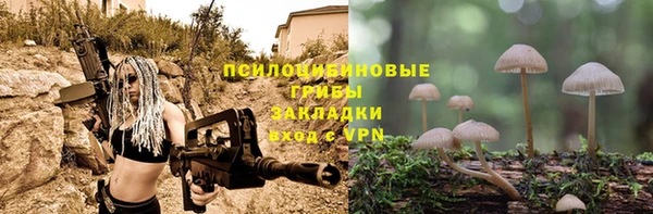 СК Алексин