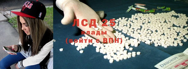СК Алексин