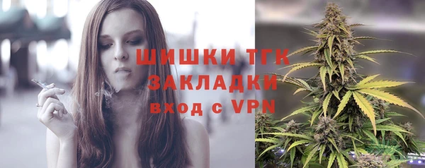 прущий лед Алзамай