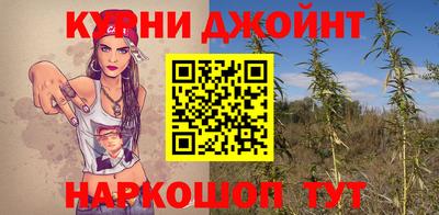 прущая мука Ачхой-Мартан
