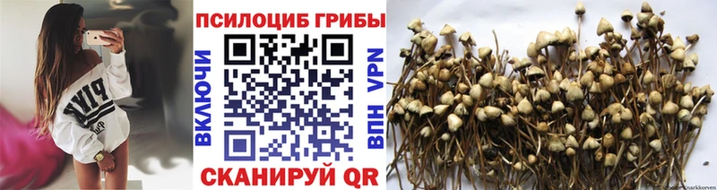 Галлюциногенные грибы мухоморы  Пермь 